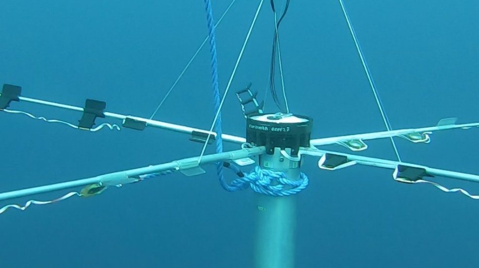 [#Essais] Bouées acoustiques 📋

Le centre d’expertise DGA Techniques navales a mené avec <a href="/thalesgroup/">Thales Group</a> des essais d’évaluation de performances d’émission des futures bouées acoustiques aérolargables #Sonoflash, au lac de Castillon ⤵️

#NotreDéfense