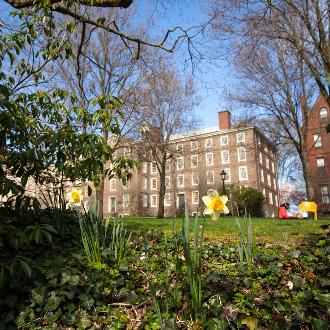 Brown Pre-College tweet media