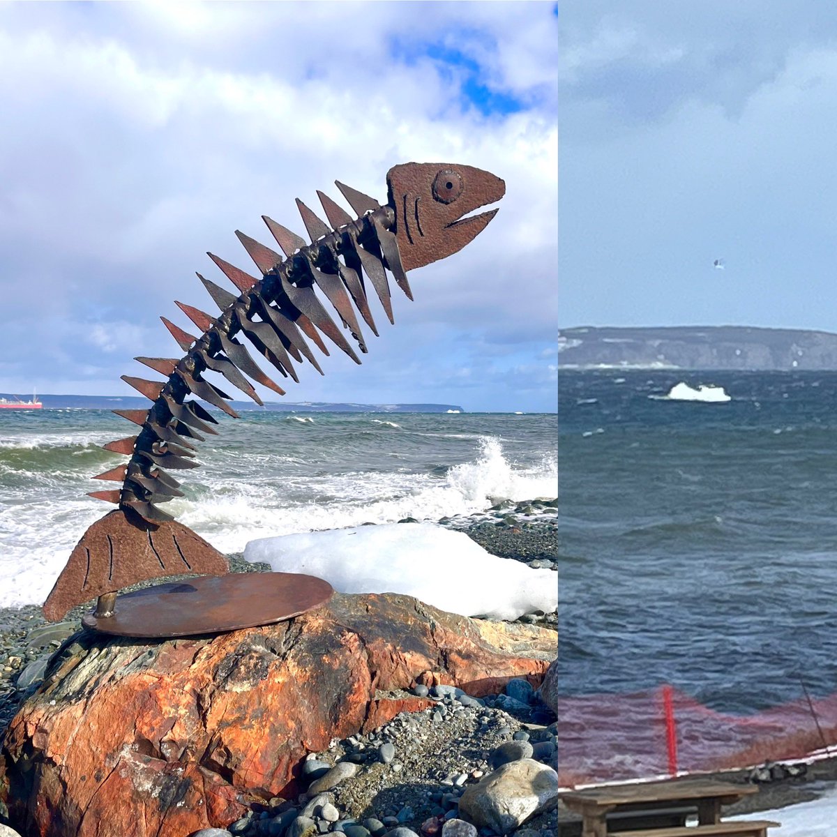 #RowdyCod and #iceberg #icebergs windy  #Newfoundland #nlwx . Tribute to the Supreme #Newfoundlander Gordon Pinsent
#NLarts #yyt #stjohns #nl #artsnl #artistnl #canada #eastcoast #explorenl #yesby #newfoundlandandlabrador #explorenl #nfld #metalart #upcycledart #recycledmetal