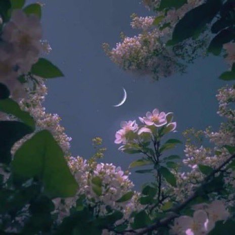 MOON LOVER tweet media