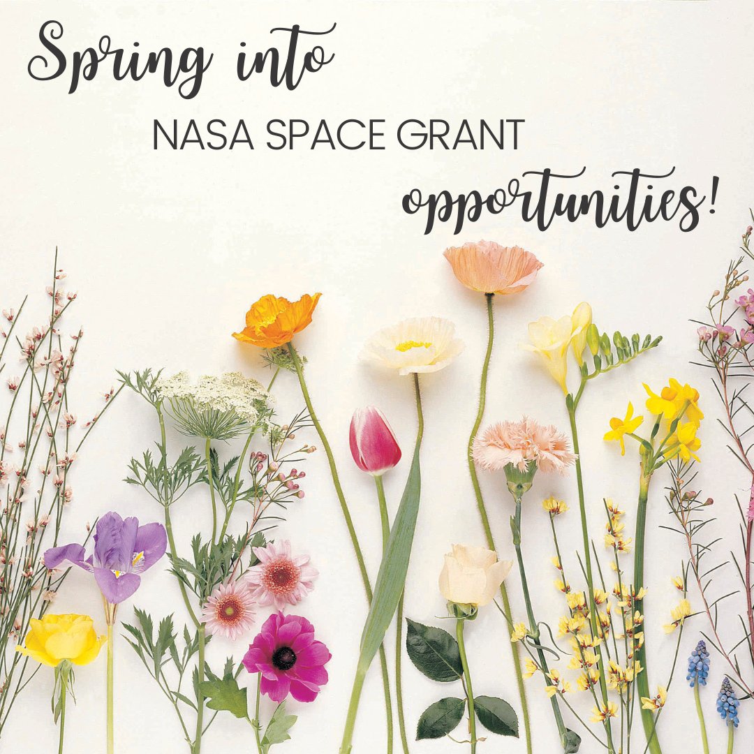 N_SGFoundation's tweet photo. Happy Spring Equinox! ππ
#NASASpaceGrant π funding πΈ helps w/ relaxation! π―
#STEM π©πΏβπ¬ #Research ποΈ #Fellowships π§πΌβπ #NASAInternships π©πΏβπ #Scholarships π°οΈ #TeamCompetitions ππΎ π©πΎβπ» π©πΏβπ #Science π¬ #Engineering π©π»βπ§ #Math π©π½βπ«
Where do YOU fit in?
π : https://t.co/BNXkgqOjYO https://t.co/iexsptK6Ea