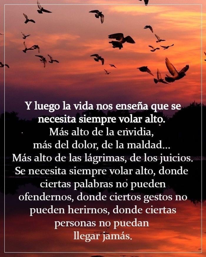 Paulo Coelho Español (@paulocoelhodice) on Twitter photo 