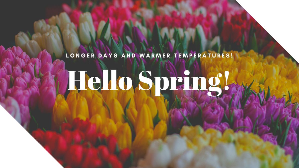 It's the first day of Spring and that means longer days and warmer temperatures! Hello Spring! #Spring #FirstDayOfSpring