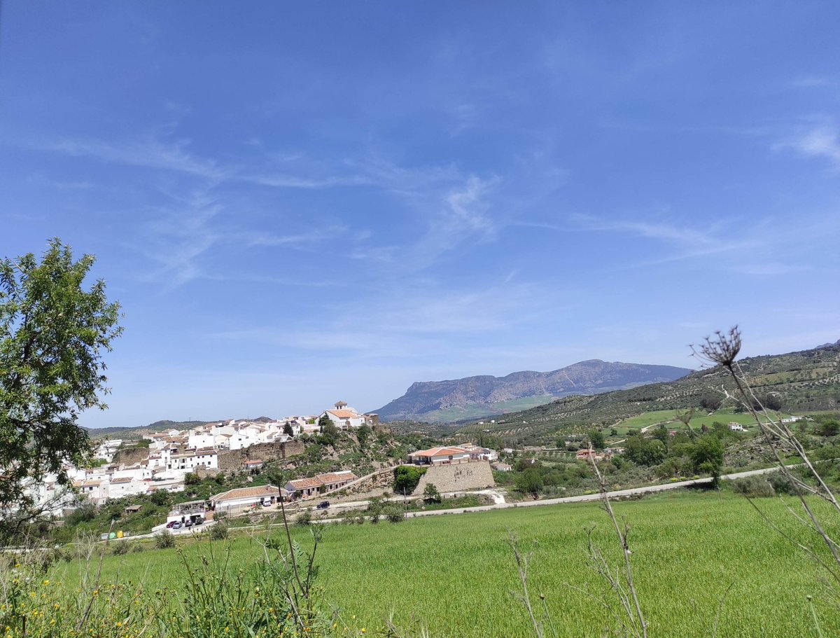 CRuralElSendero's tweet photo. Feliz #DiaMundialDeLaFelicidad! En #ElBurgo, en el corazón del #ParqueNacional #SierraDeLasNieves  todos los días están llenos de #Felicidad! #CasaRural: https://t.co/MAfNhnwWef https://t.co/mfykVed4nB