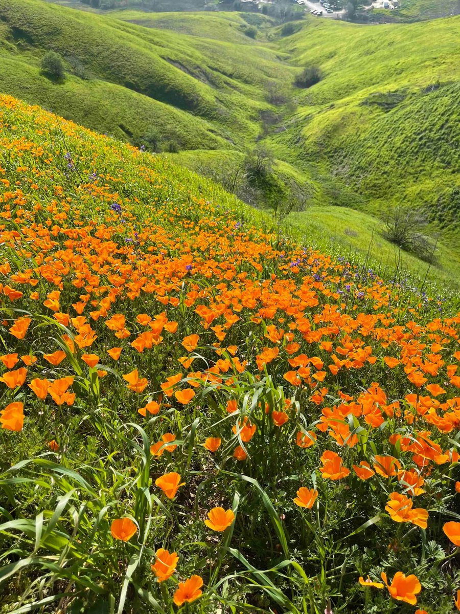 outerspatial's tweet photo. You made it!

Spring is here, the days are getting longer and warmer, and the outdoors awaits you.

Celebrate with a hike at your local park, a bike trip through the forest, or snowshoeing in your local mountains.

#springvibes #outerspatial #findyouradventure https://t.co/A6jiK1NYLt