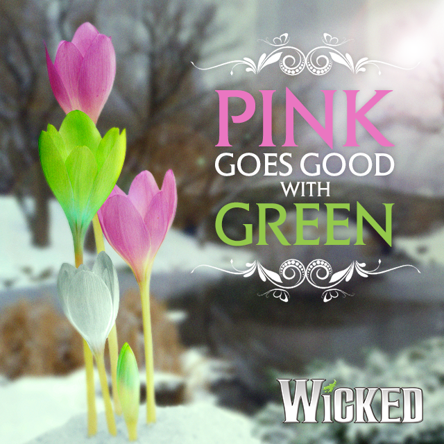 WICKED_Musical's tweet photo. Spring has sprung, Ozians! Our favorite colors are popping up everywhere. 💚💖 https://t.co/VXDLMIrq6R