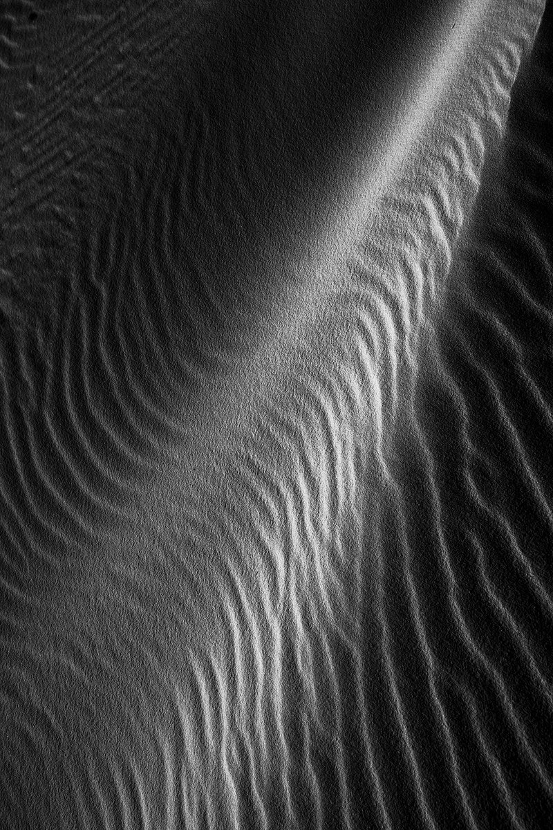 Finding Donna 🖤🤍📷 tweet media