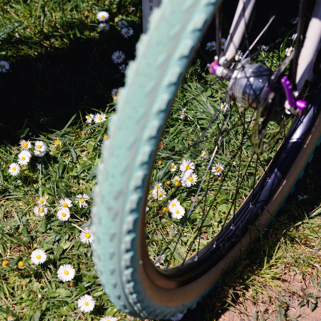 CycleOregon's tweet image. It's the first day of Spring! 💐The flowers are blooming, the days are getting longer and sun is shining brighter these days. What's the first big ride you're going to take this Spring? 

#RideCycleOregon #FromWhereIRide #CyclingLife
