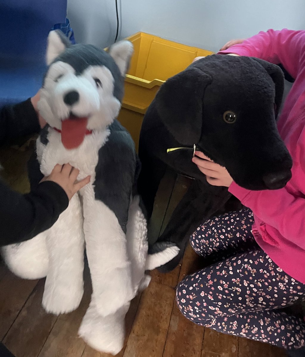 Thank you very much to Dogs Trust for visiting some of our classes today! P2 enjoyed meeting Ted and learning all about how to behave safely around dogs. P2 look forward to sharing the 5 happy dog rules with others 🐶 <a href="/DT_Educ/">Dogs Trust Education</a>