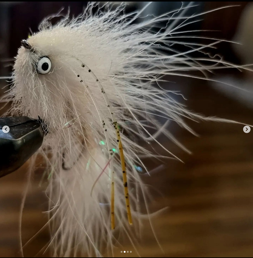 Saltwateronfly's tweet photo. Pretty Sweet Snack
@jani_a75
Rainbow snack
White/tan leech
#flytying #flytyingnation #flytyingaddict #umpquafeathermerchants #loonoutdoors #mroflies #getbusytying #hedronflashabou#flyfishing #flyfishingjunkie #streamerjunkie #streamerflyfishing #troutfishing #articulatedstreamer https://t.co/UdCRUN61CK