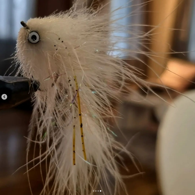 Saltwateronfly's tweet photo. Pretty Sweet Snack
@jani_a75
Rainbow snack
White/tan leech
#flytying #flytyingnation #flytyingaddict #umpquafeathermerchants #loonoutdoors #mroflies #getbusytying #hedronflashabou#flyfishing #flyfishingjunkie #streamerjunkie #streamerflyfishing #troutfishing #articulatedstreamer https://t.co/UdCRUN61CK