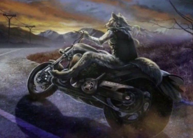 dazaitoot's tweet image. Gys .. i have been .. injured ..   I am off to take some time to rest .. ..  #MightNotMakeIt