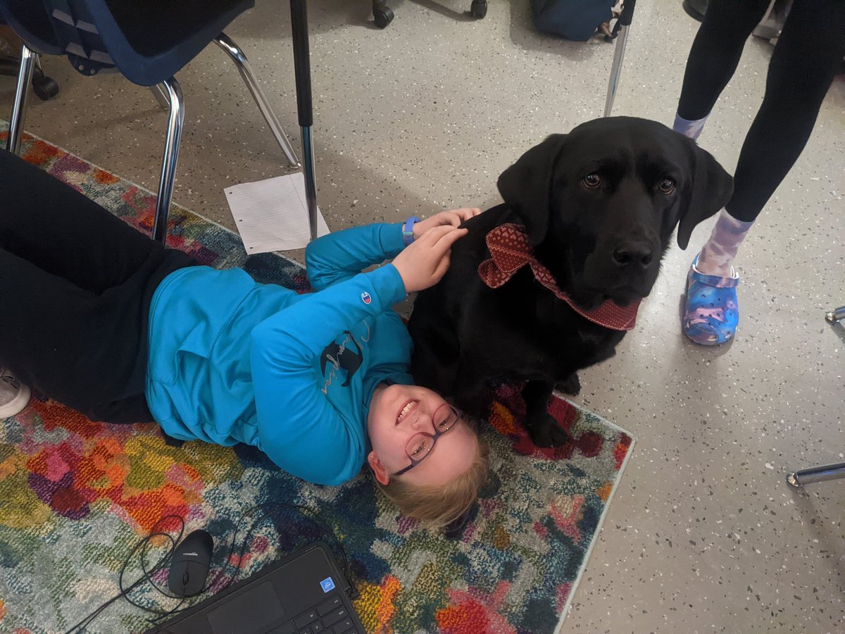 lewickiwolves's tweet image. A little bit of life in room 105 last week. ❤️ #packpride