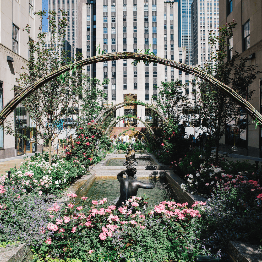 Spring is officially in the air…even if we have to wait a bit for this exact energy.