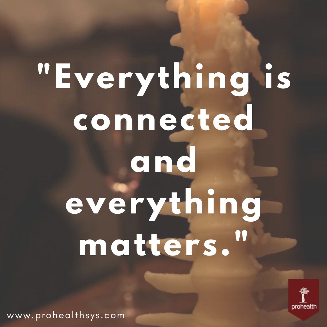 prohealthsys's tweet photo. The human body is a marvel of interconnectedness, where every cell, tissue, and organ works together in perfect harmony to create the incredible machine that is you.
#HumanAnatomy #PhysiologyFacts #BodyScience https://t.co/1t7NkjDlmW