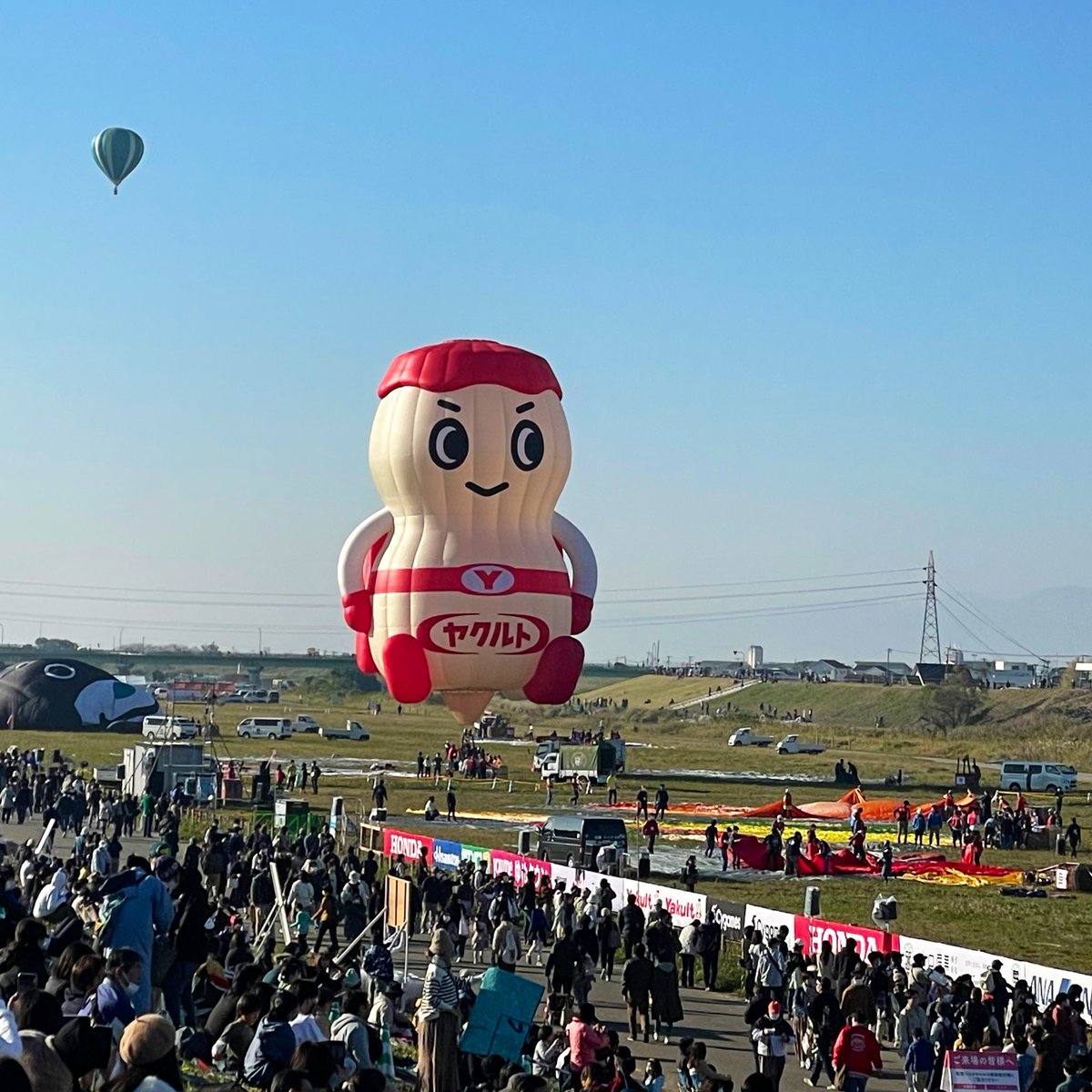 yakult-man is important to me