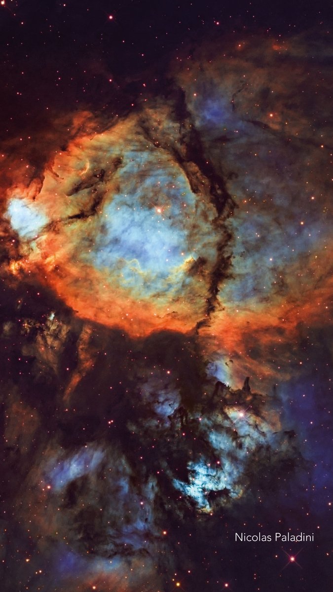 Planetario Galileo Galilei tweet media