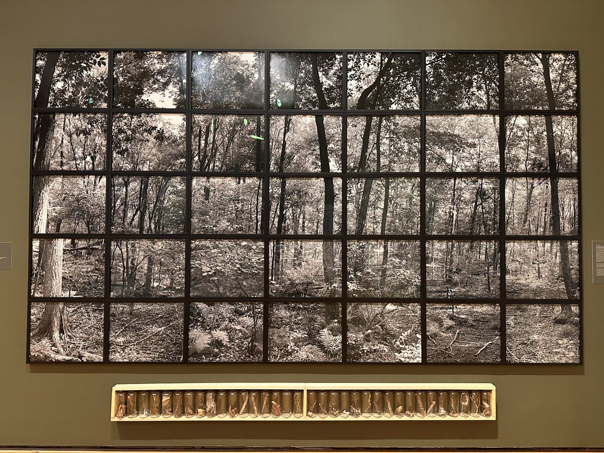 Seen <a href="/johnsonmuseum/">Johnson Museum of Art</a> this weekend. 

“What if we memorialized ecological losses like we did battles?” 

35 unique black-and-white photographs and 35 glass jars containing "genetic element sections that represent the entire forest for future generations to re-create the forest."