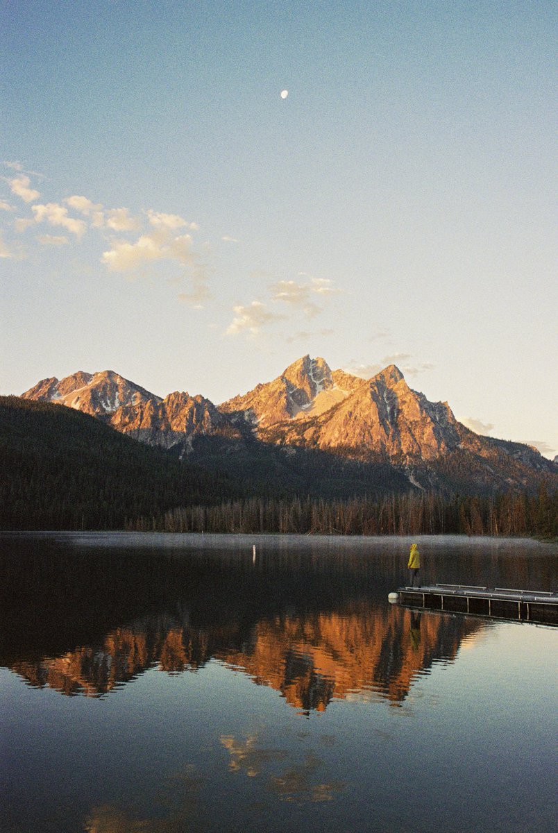 Portra Papi tweet media