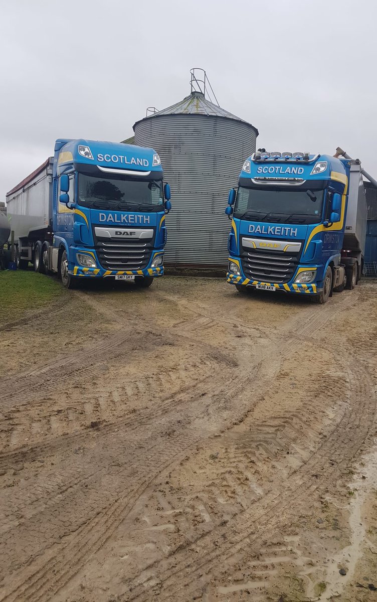 The (Jamaica) Blues brothers 
@LothianDaf
@DAFTrucksUK
@LancashireDaf