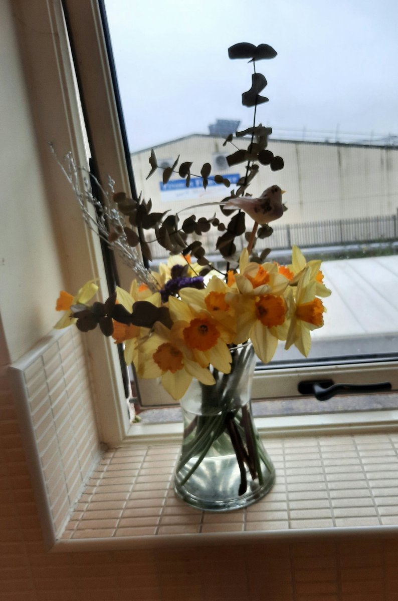 siobhanx3's tweet photo. #WorldSparrowDay #NationalShakespeareWeek #InternationalDayOfHappiness
When daffodils begin to peer..then comes in the sweet o' the year..the sweet birds, O, how they sing!
TWT A4S3
Daffodils..take The winds of March with beauty.
TWT A4S3
I'm happy by #birds #Spring #flowers https://t.co/gZyIRX4LGa