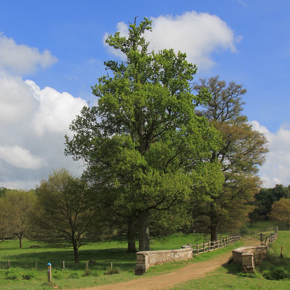 Scotney Castle tweet media