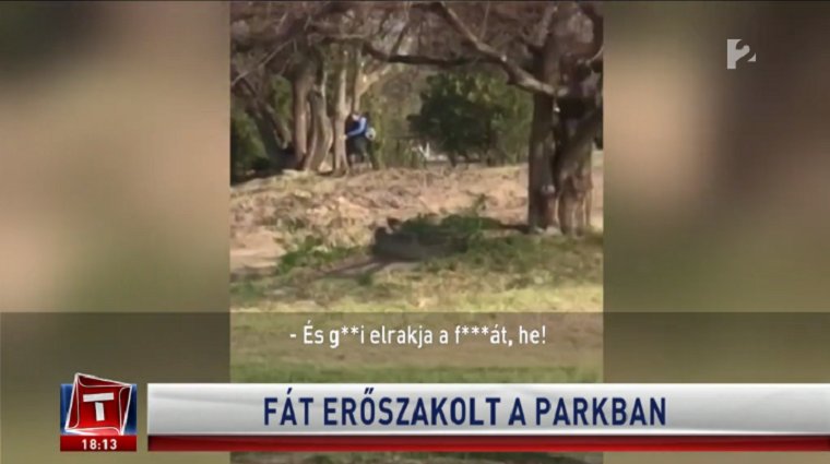 fckmarrykillhu's tweet photo. Honourable mention a debreceni fa erőszakoló https://t.co/4CVJvpK7RA