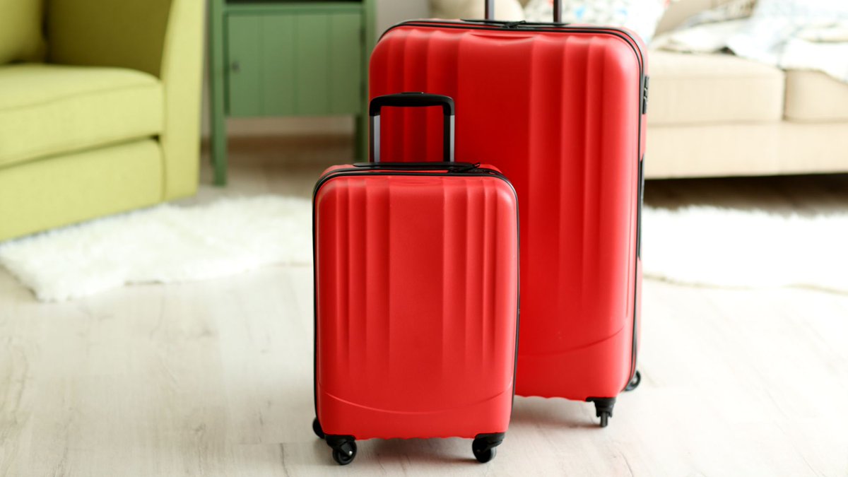randylenz's tweet photo. 6 Steps to Prevent Home Disasters While You’re on Vacation https://t.co/w89OTW3ee1 

#homesafety #hometips https://t.co/BmUMzskJE7