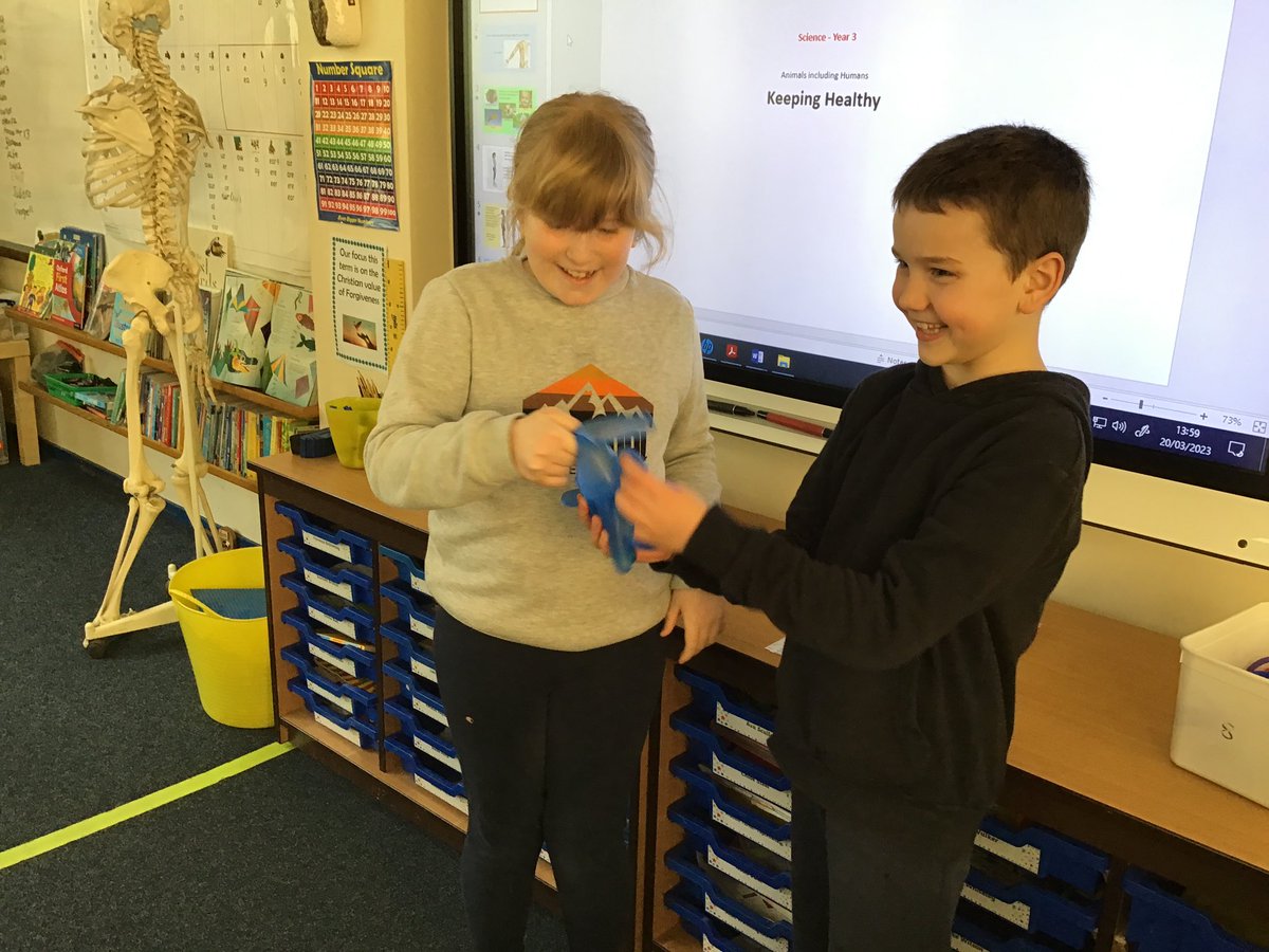 yr3melthamce's tweet photo. Today, we were finding out about muscles. We felt how our muscles ached when we held our water bottle up for a long time! We tried shaking hands with a hand that had no muscles or bones. #melthamscience https://t.co/v839Z7qwFh