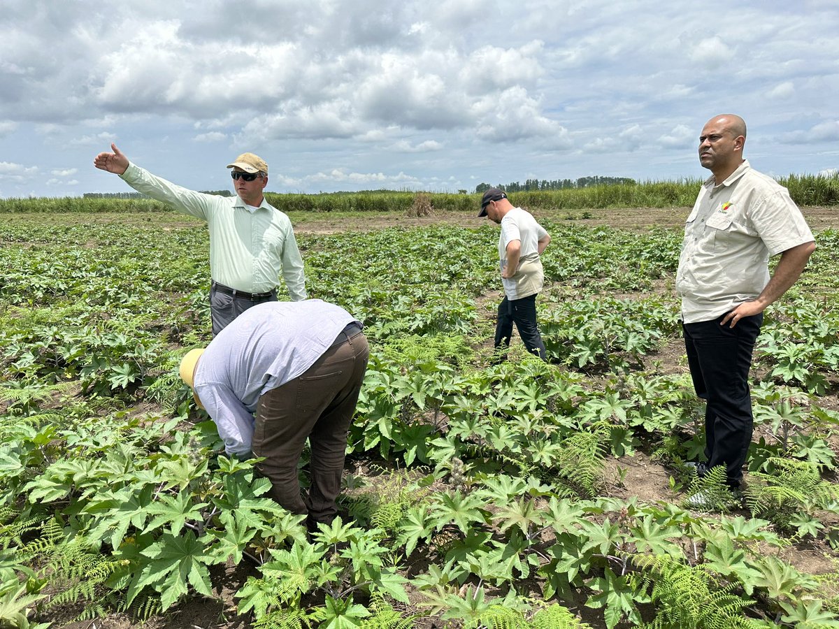 Michel Djombo tweet media
