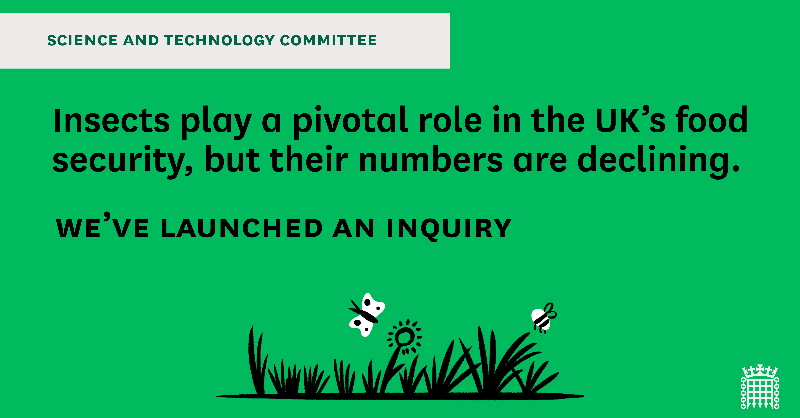CommonsSITC's tweet photo. We've launched an inquiry on Insect decline & UK food security to look at the role of insects in the UK food system, evidence for their numbers, current drivers of insect loss & Govt policies to halt or reverse them. The deadline is Friday 28 April.
See:
https://t.co/qkQ4uS6Pyr