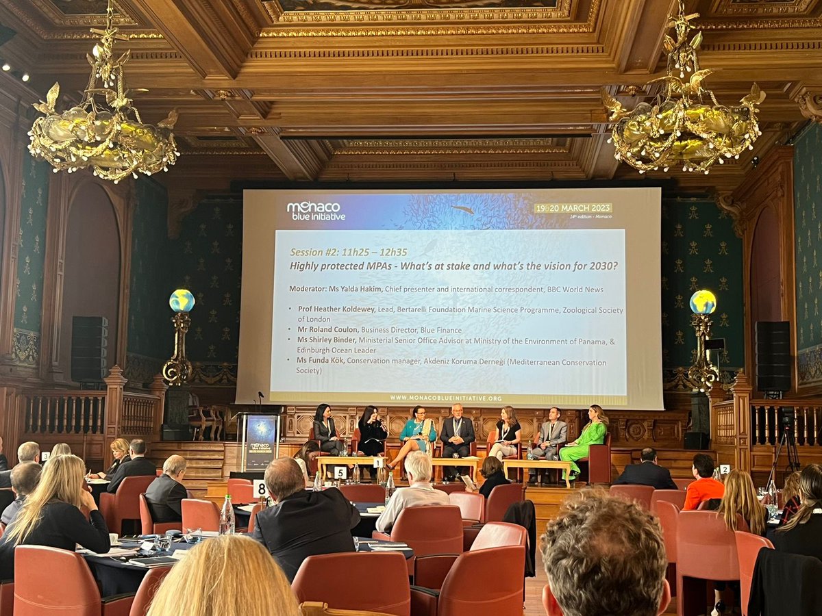HeatherKoldewey's tweet photo. Back @OceanoMonaco for #MonacoBlueInitiative which brings together an exceptional cross section of people committed to the ocean.
Brilliantly moderated by @BBCYaldaHakim, I discussed the scientific importance of highly protected MPAs 
@marine_science @ZSLMarine @ExeterMarine https://t.co/DwWxke2ktr