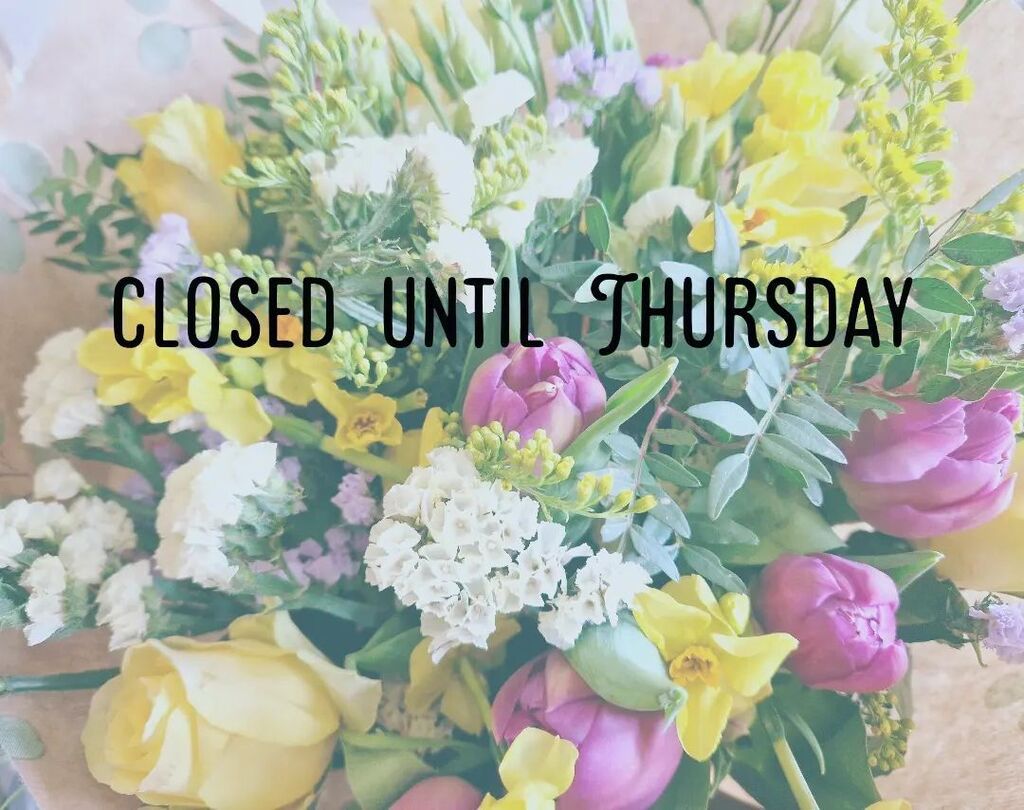 LisaDrinkwaterFlowers tweet media