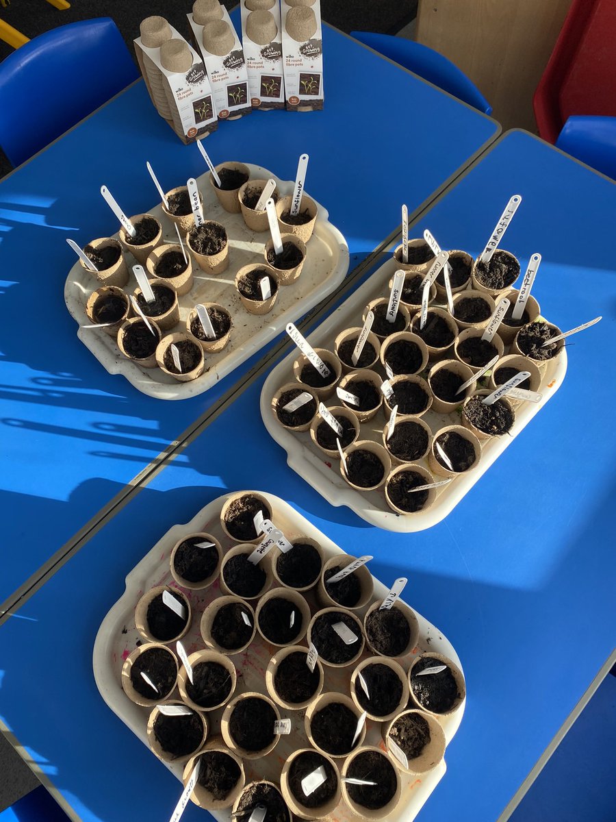 EYFSwestfield's tweet photo. Reception have been busy planting seeds ready to sell at our fundraiser next week! #plants #eyfs #community #science https://t.co/xVAsBdCmXS