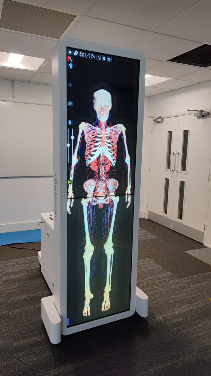 Nic__Allen's tweet photo. I'll be using this soon to teach our MSc pre-reg physiotherapy students @BrightonLTHub @BrightPhysios @Anatomage https://t.co/hmXCQtL24x