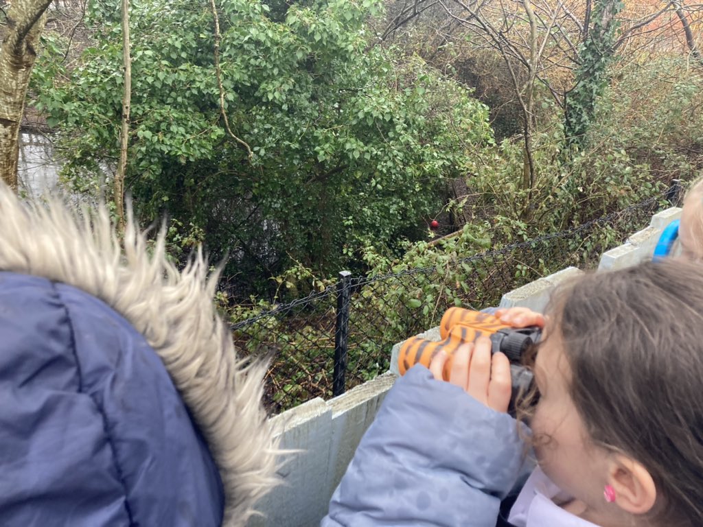 ThornhillPS's tweet photo. In @year2tps nature club have been helping the birds this week! They have finished their bird feeders to take home, learnt more about British birds with a top trumps game and even spotted some in a nest by the pond! #TPSoutdoorlearning @EcoSchoolsWales https://t.co/ZfKKI1QV3v