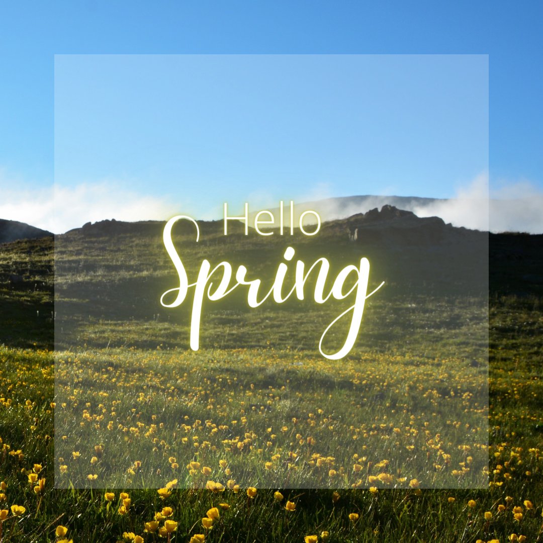 If you feel like this winter has been going on forever, you’ll be happy to know that today marks the first official day of Spring, so don’t stop be-leafing – it’ll be warm soon!😉
#springequinox #Firstdayofspring #HelloSpring