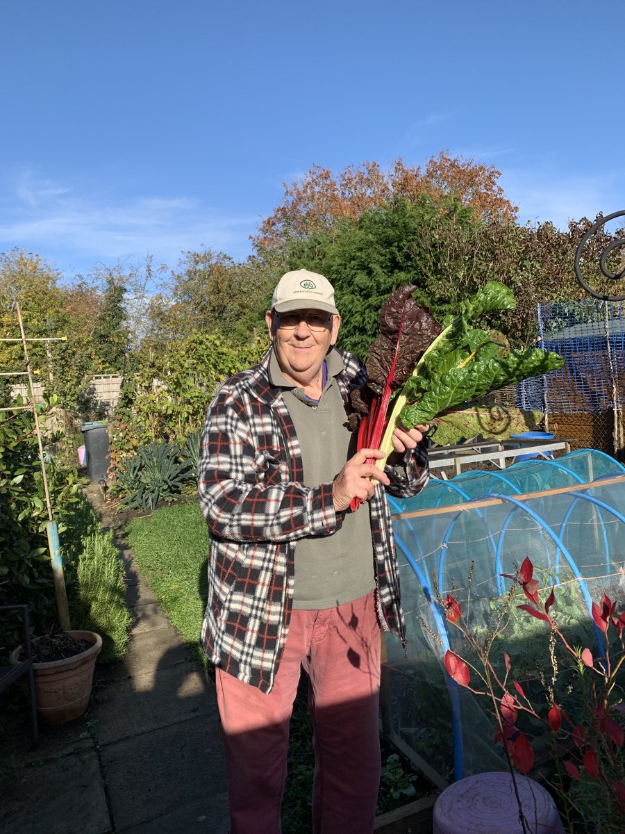 geraldstratfor3's tweet photo. Chard is an unusual plant it’ a bit like marmite you like it or hate it i’m a liker cheers https://t.co/nggRg3NeTx