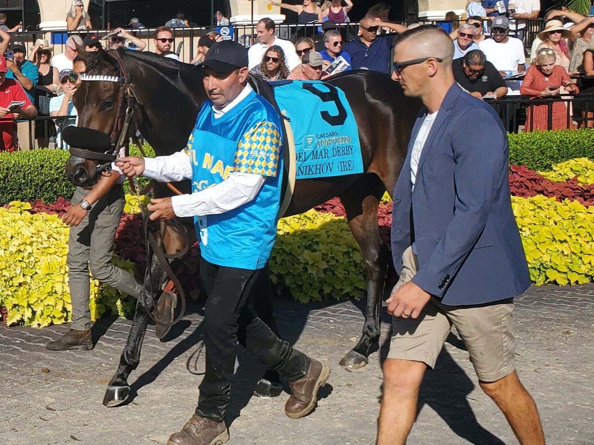 sdhorserace tweet media