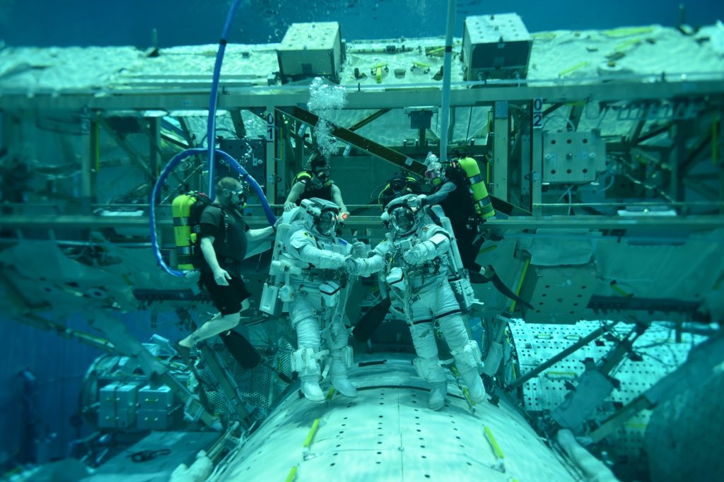 Thom_astro's tweet photo. Journée de la langue française ET journée mondiale du bonheur le même jour… vraiment ?! 😅 Pour fêter ça, entraînement en piscine entre francophones avec @Astro_DavidS, mon québécois préféré !! https://t.co/TivzqOvR7B