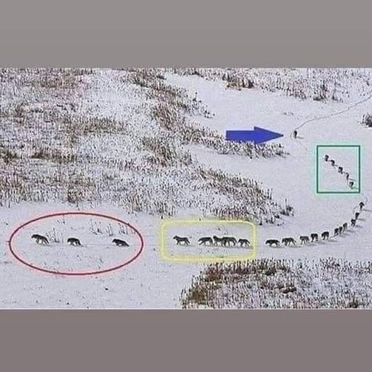 pier luigi pinna tweet media