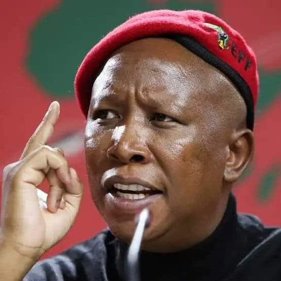 The only opposition leader who mean business. Total respect to this guy malema.
