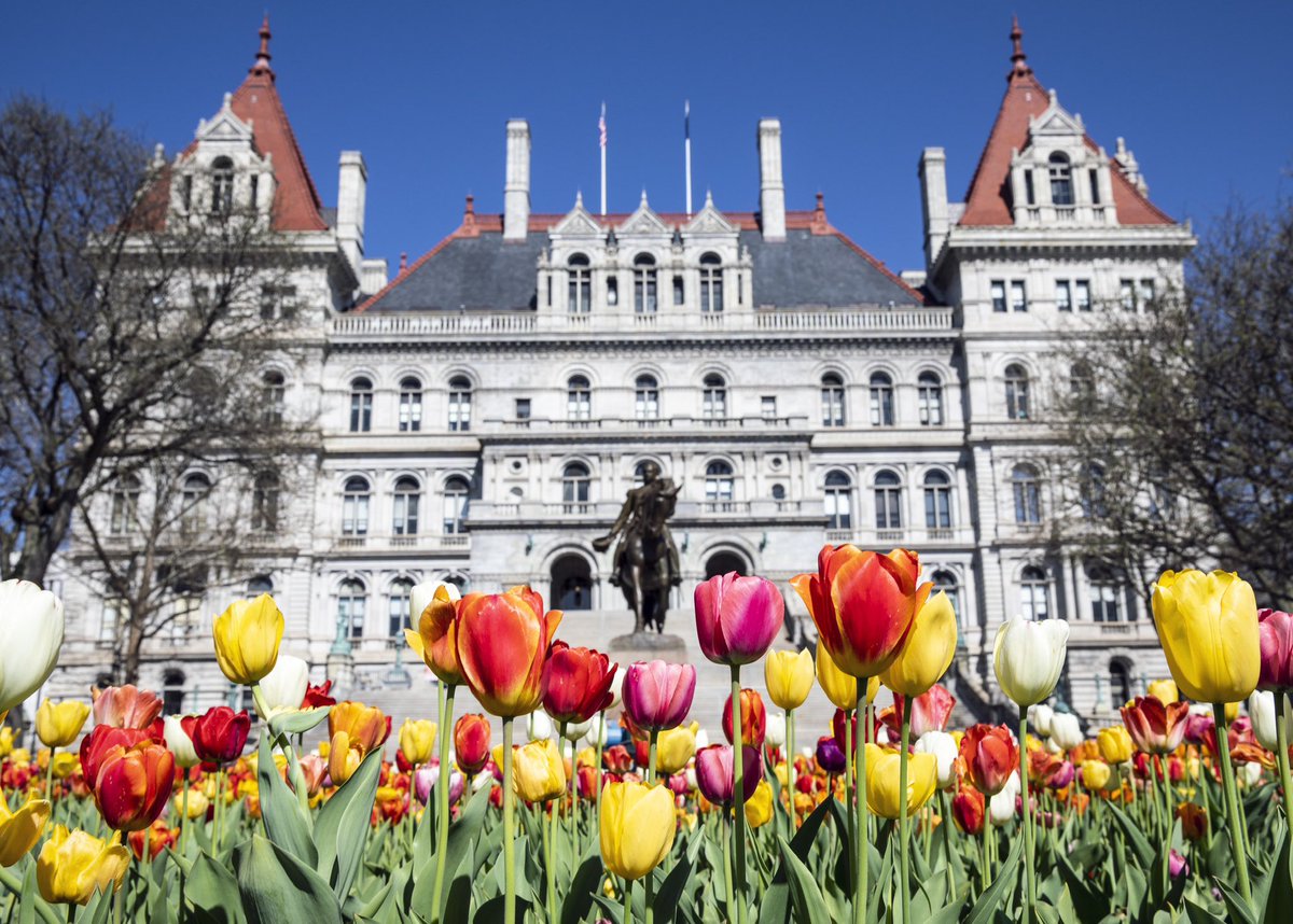GovKathyHochul's tweet image. Happy #FirstDayofSpring, New York! It may not feel like it yet, but the sun is out today and warmer days are coming 🌸