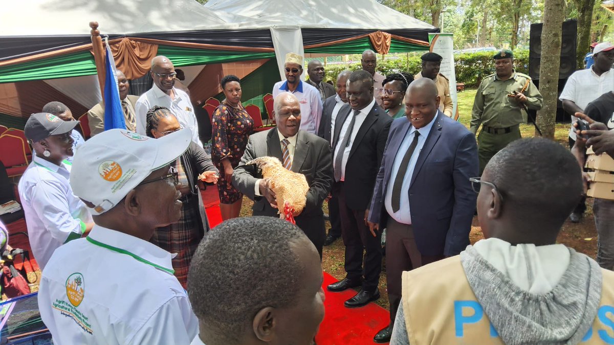 On behalf of Ps <a href="/KimtaiHarry/">PS Harry Kimtai</a>, Dr. Joshua Chepchieng secretary administration state department for Livestock Launched 2000 bird capacity house at <a href="/kalromkulima/">KALRO</a> Kakamega. Further unvailed KC3 breed line to serve.