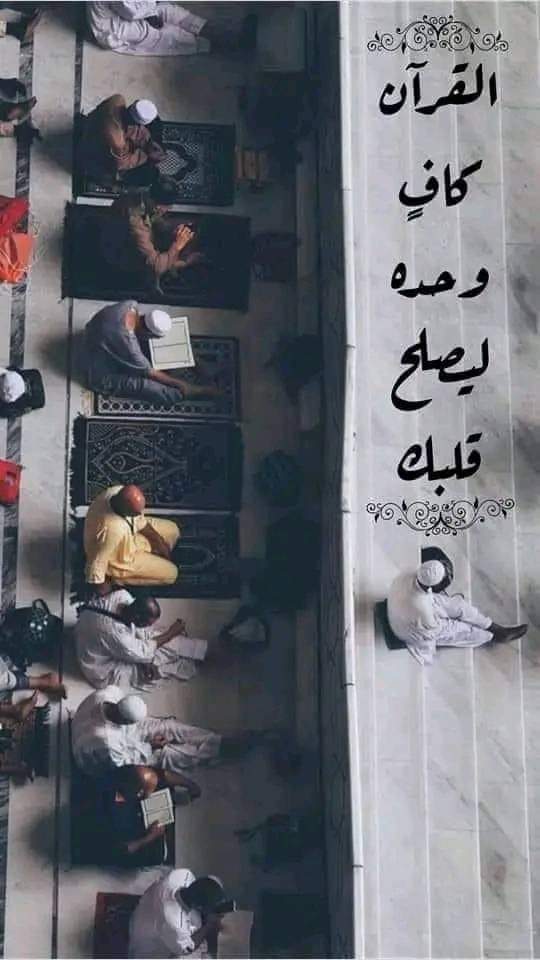 *لا حياة لقلبك إلا بالقرآن ، ولا علاج لقسوته إلا بالقرآن ، ولا سعادة إلا مع القرآن.*

 *فليكن القرآن جليسك وأنيسك.*

*القرآن كافٍ وحده ليصلح قلبك*🫀🤍))