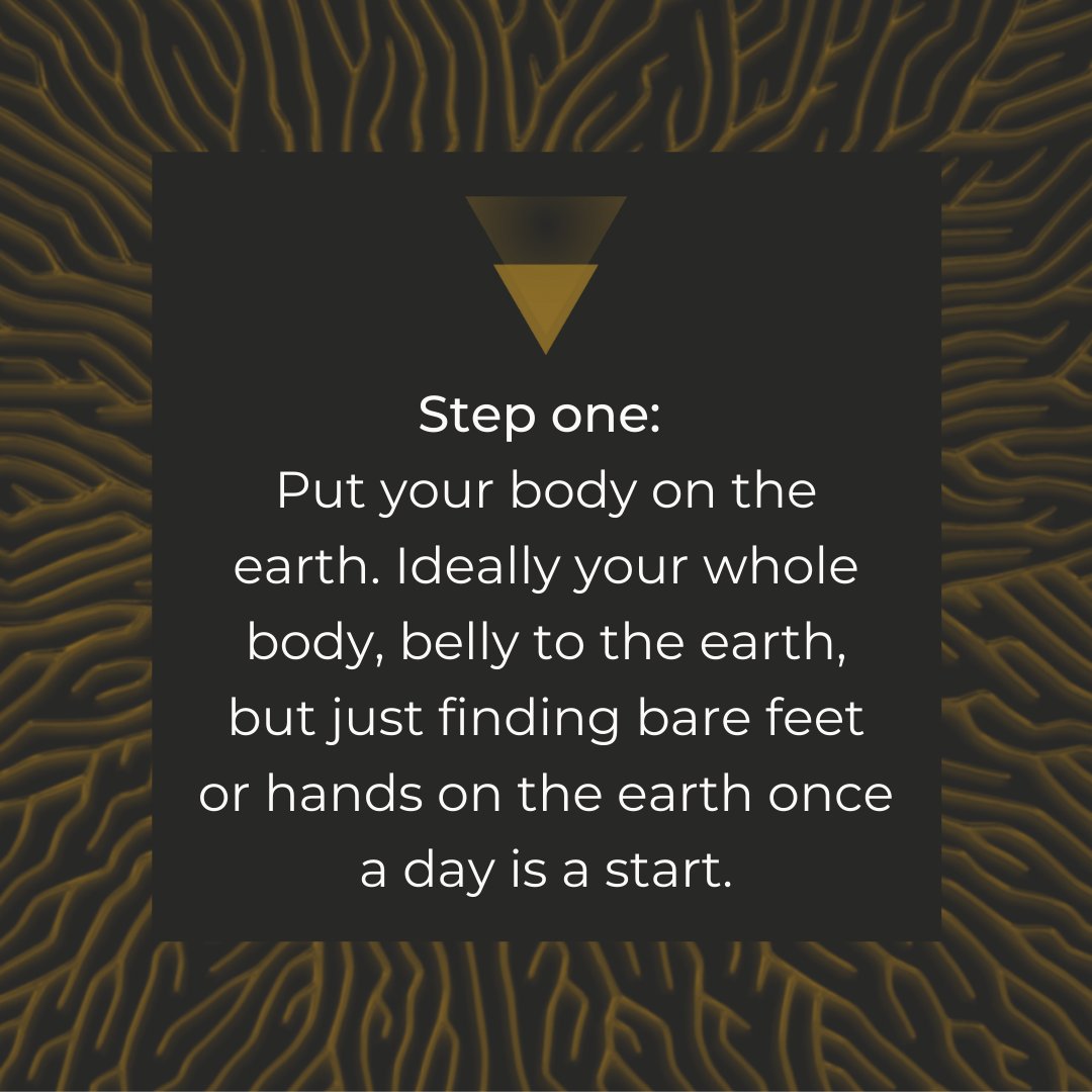 With her book, Grounded, <a href="/erinmcmorrow/">Erin McMorrow</a> guides us through the inner and outer work needed to restore the divine feminine AND save our planet: bit.ly/3sHKs5N