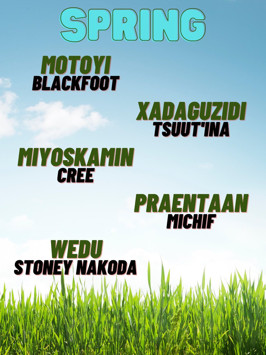 Today we learned about the Spring Equinox. Na'toosi (Grandfather Sun) and Kokomikisomm (Grandmother Moon) share the sky equally. It is a time of beautiful changes according to Elder Saa’kokoto. How can you engage your body to see, feel, hear and smell the signs of spring?