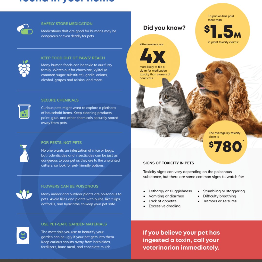 JaneAnimal's tweet photo. To mark Poison Prevention Week, we want to highlight key ways to keep your pets safe at home. It starts with proper storage, using pet-safe products, being aware of toxic plants, and knowing the signs of food poisoning.  #PoisonPreventionWeek https://t.co/fCx2E40Aw2