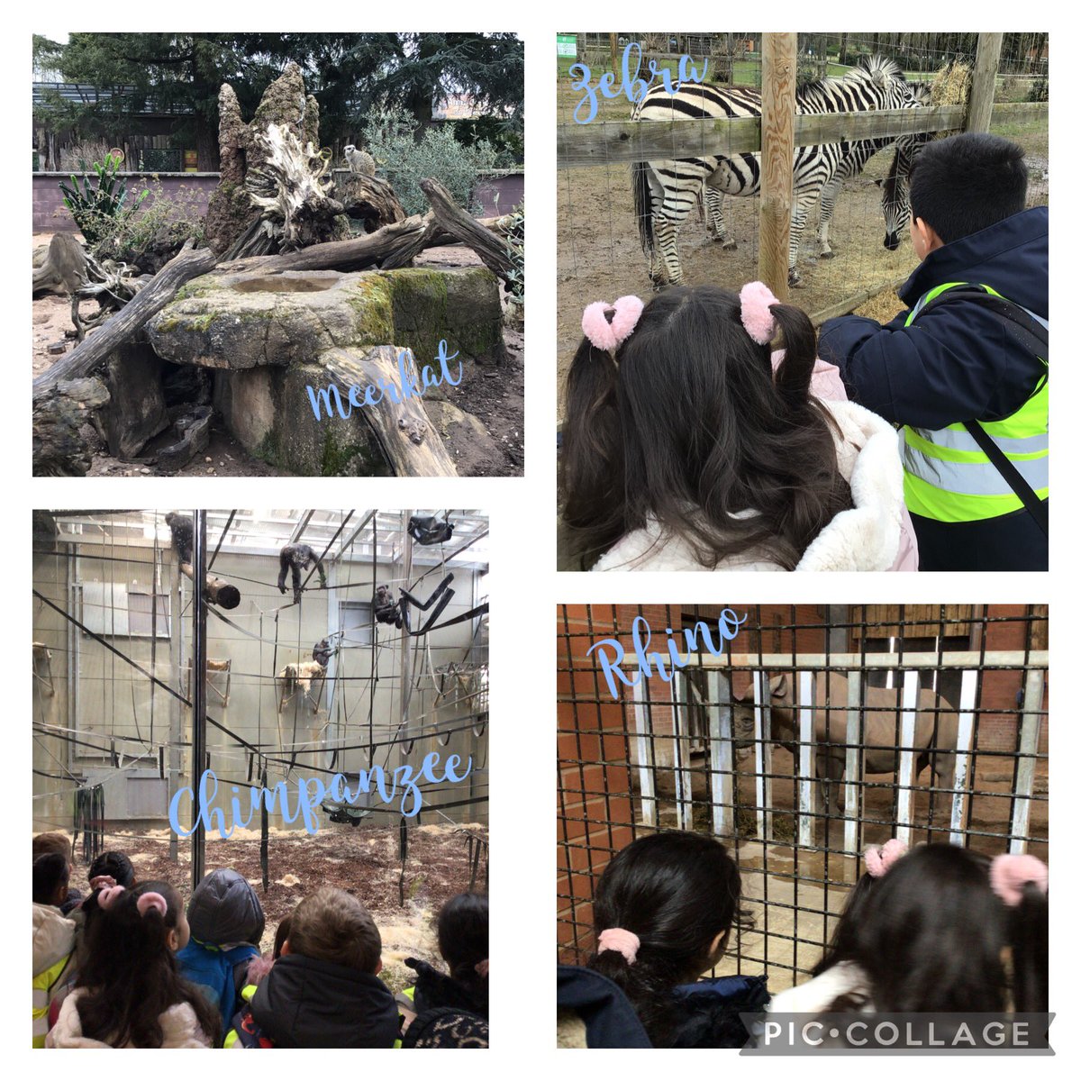 MrsBeckKMPA's tweet photo. We have had the best day at @TwycrossZoo We saw lots of wonderful animals, took lots of group photos, had a workshop and we also visited the Gruaffalo land! @kestrelmead https://t.co/QiFqFgXhcn