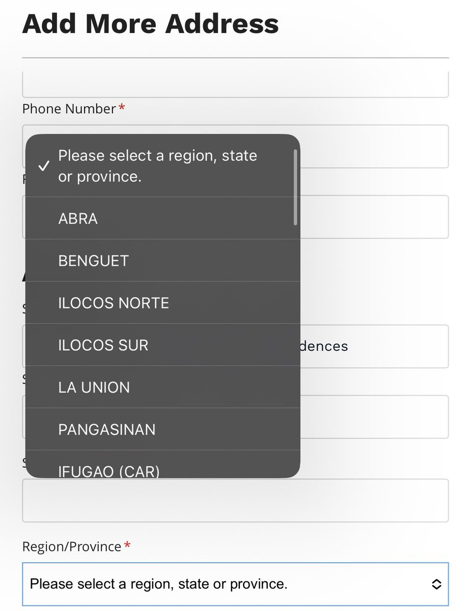 I thought this picker on <a href="/AbensonPH/">Abenson</a>’s website isn’t alphabetically ordered, which is terrible UX. Then I realized that they were first ordered by region, then alphabetically. At least they tried 🤷‍♂️